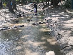 -白水寺森林公园