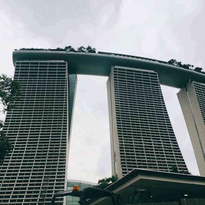 新加坡滨海湾金沙大酒店 (staycation approved)