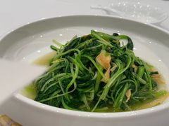 -粤珍轩·家宴·广式茶点(新城广场店)