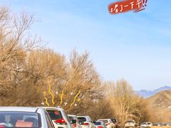 -新疆天山野生动物园