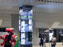 -TMG潮流健身(奥体莲荷里店)