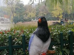 -西安市长乐公园