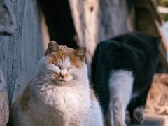 -UNIUNI(凯瑟琳广场店)