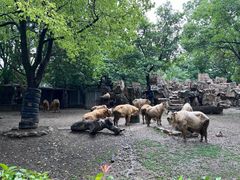 -上海野生动物园