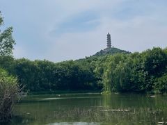 -北坞公园
