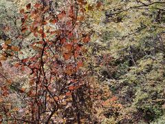 -野三坡百草畔景区