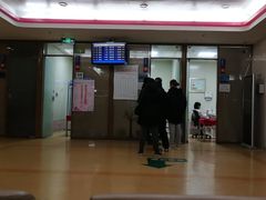 -上海市东方医院(总院)