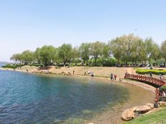 -丁香湖公园