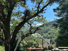 -石台牯牛降景区