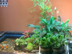 -隐炉和牛烧肉店(群力店)