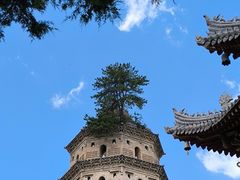 -崆峒山景区