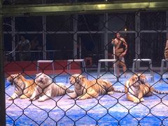 -西安秦岭野生动物园