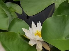 -白鹭湾湿地公园