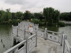 -葛仙湖公园