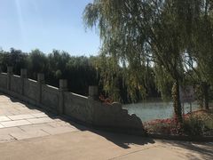 -塘沽森林公园