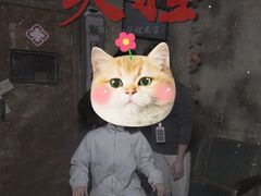 -Mr.Fox狐狸先生超级密室(南山店)