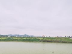 -光明小镇欢乐田园