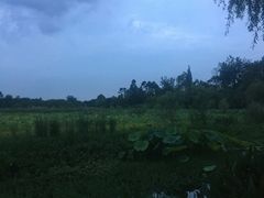 景点-三圣花乡旅游区