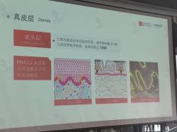 -安吉拉青春化管理中心