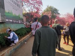 -昆明动物园
