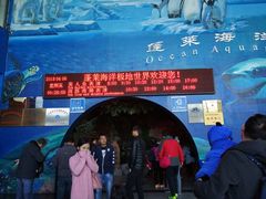 -蓬莱欧乐堡海洋极地世界