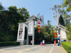 景点-三门江国家森林公园