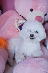 -Pink You美甲美睫纹绣定制中心