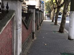 -水丰路鸡蛋饼