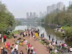 -重庆彩云湖湿地公园