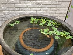 -813芭依珊 BAESAn(皇冠十畝地店)