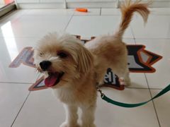 -纳吉亚猫专科动物医院博雅分院