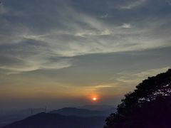 -黄埔油麻山森林公园