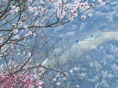 -龙泉峪长城