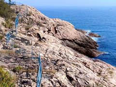 -广东惠东海龟国家级自然保护区