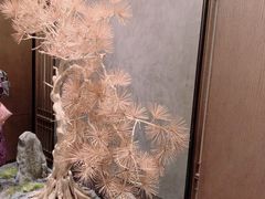 -百富源·海鲜辽菜(和平北大街店)