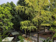 -成都市文化公园