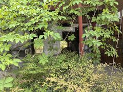 -洨河生态公园