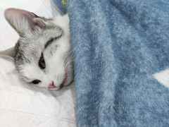 -爱侣宠医·鹦鹉专科·小型哺乳类·异宠专科(灵石路店)