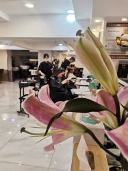 -雅仕 HAIR SALON 美发沙龙