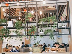 大堂-三猫黑鱼花(南大店)
