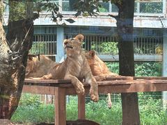 -昆明动物园
