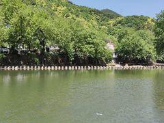 -鹿亭中村