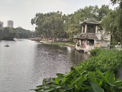 -荔湾湖公园