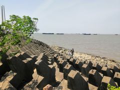 -上海滨江森林公园