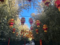 -红螺寺
