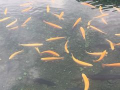 -丽江玉水寨