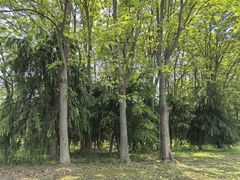 -钟山体育运动公园