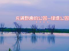 -绿堤公园