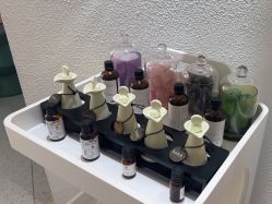 -薇薇安花系SPA