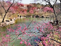 -扬州瘦西湖温泉